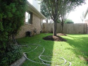 Landscape 2 Before.